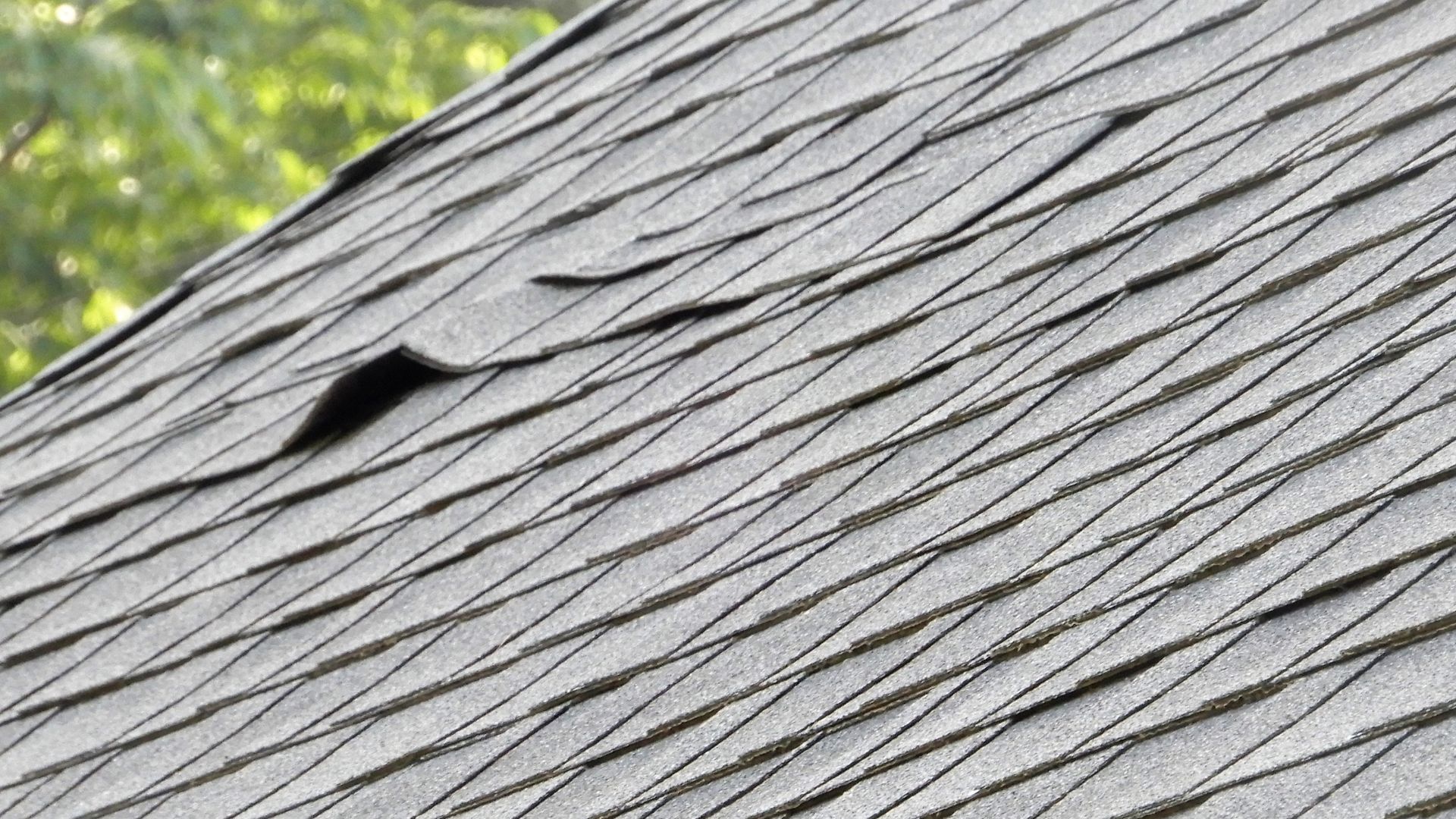 Emergency Roof Repair Needed